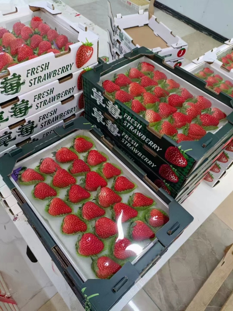 丹东草莓东港久久草莓包邮坏果包赔网红电商一件发货