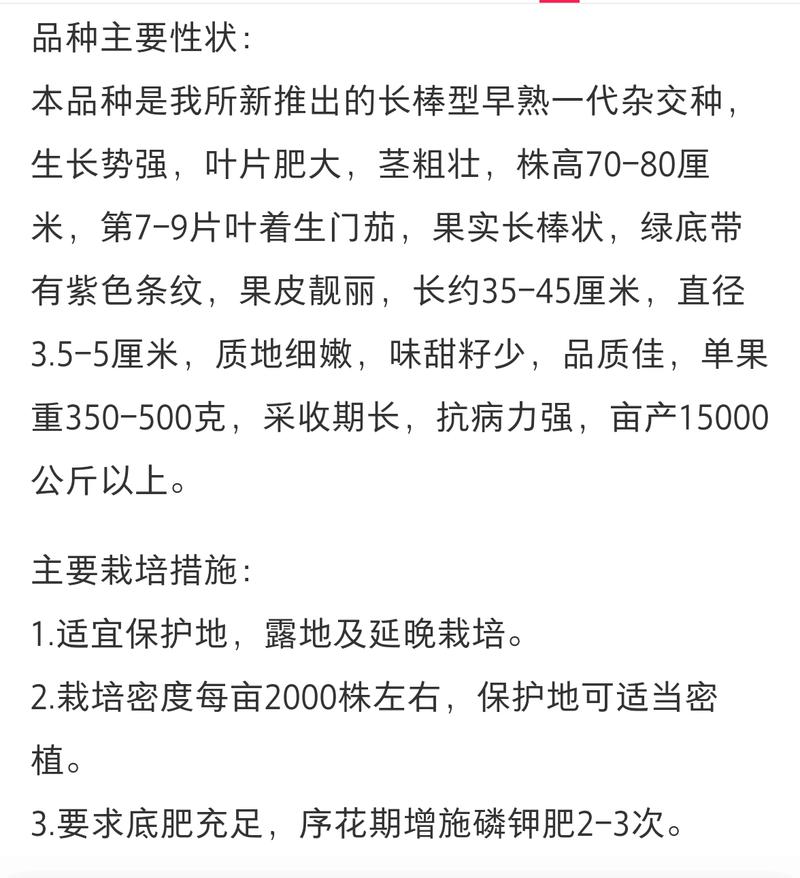 紫荆茄2号种子早中熟早春大棚种植春露地栽培