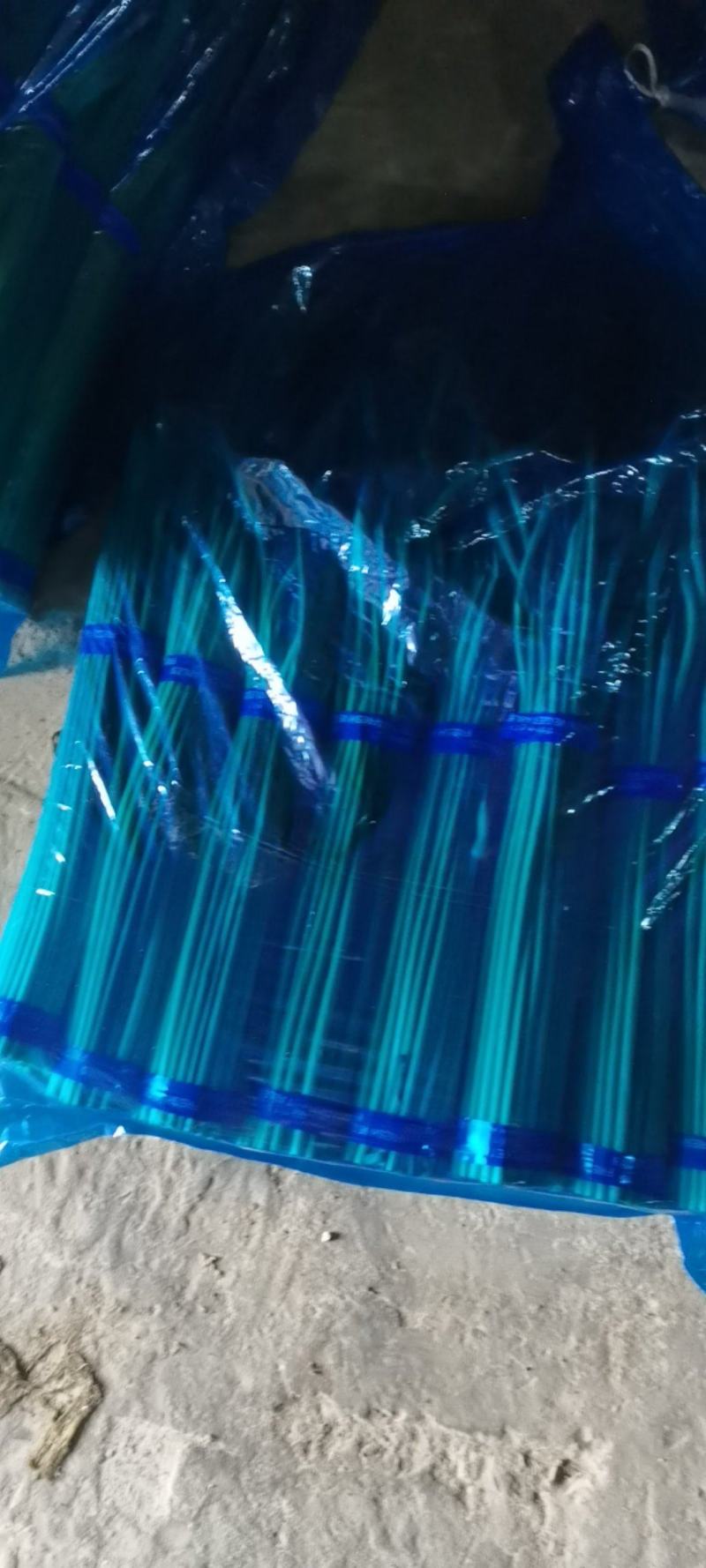 通许县红帽蒜薹，捆扎把，原大把，上直下直。长粗绿