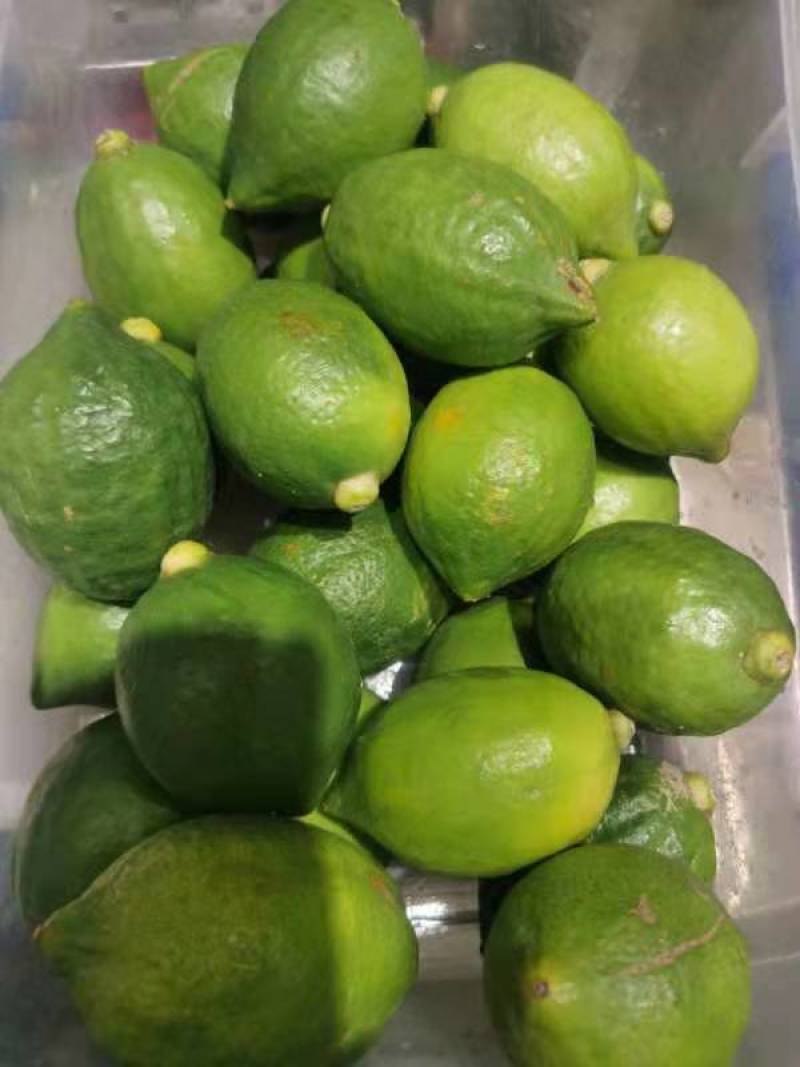 广东香水柠檬