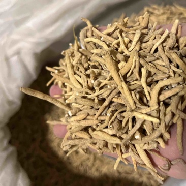 优质太子参，贵州孩儿参，过筛货干，质量保证