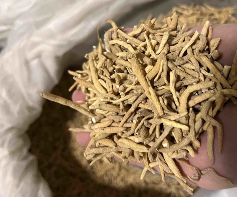 优质太子参，贵州孩儿参，过筛货干，质量保证