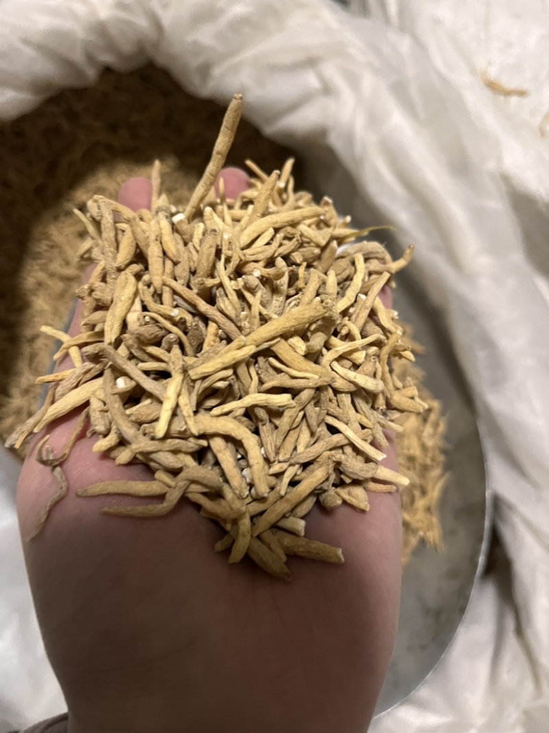 优质太子参，贵州孩儿参，过筛货干，质量保证