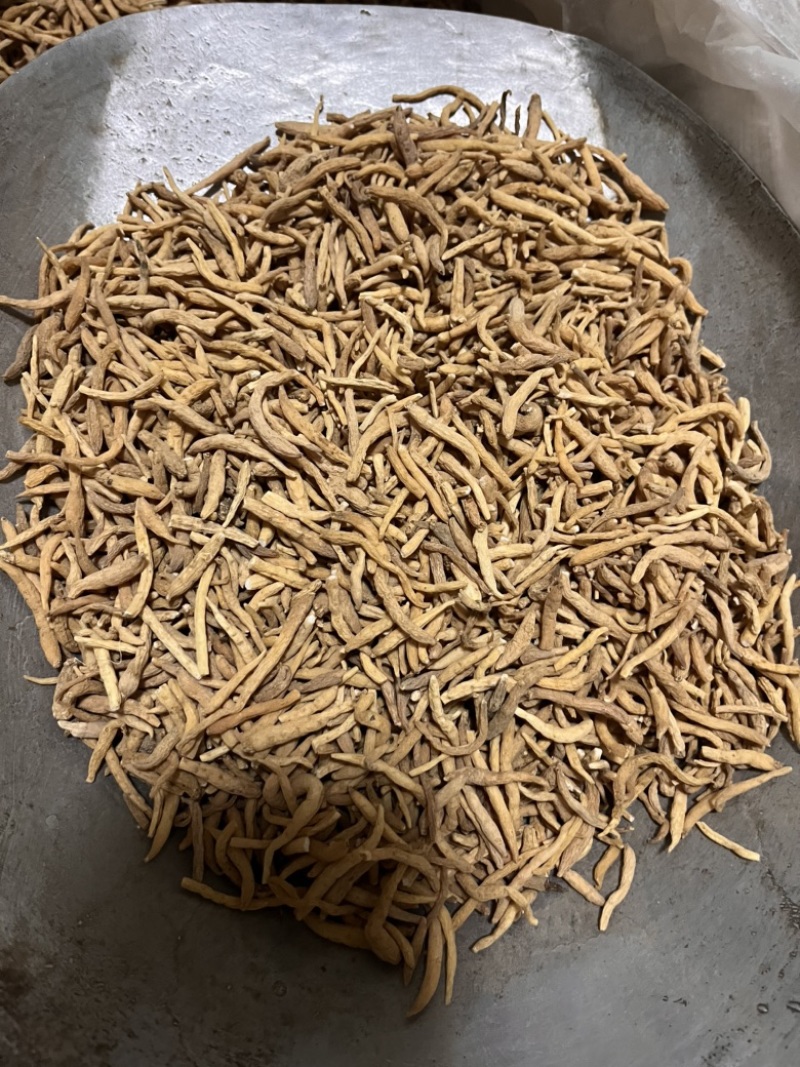 优质太子参，贵州孩儿参，过筛货干，质量保证