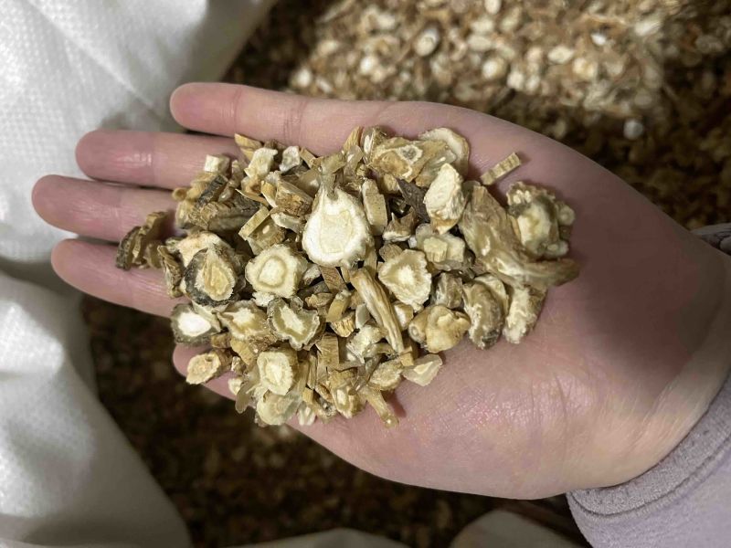 正品河北北沙参，统货沙参，质量保证，欢迎老板下单