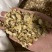正品河北北沙参，统货沙参，质量保证，欢迎老板下单