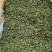 桑叶茶厂家直销散装霜后桑叶颗粒批发中草药茶原料三角包低档