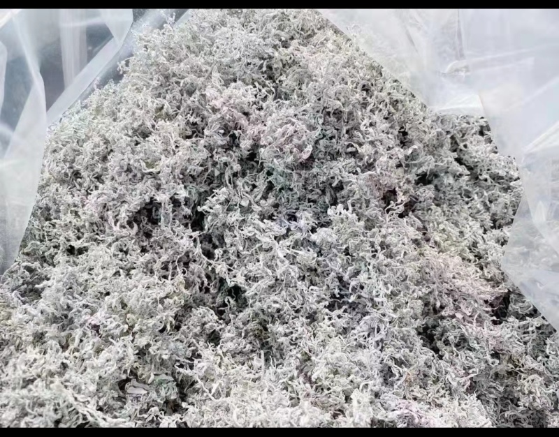 湖南张家界茅岩莓茶老叶茶