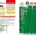 【精】郑研绿将军豆角种子，抗高温，结荚多，抗病好！