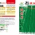 【精】郑研绿将军豆角种子，抗高温，结荚多，抗病好！