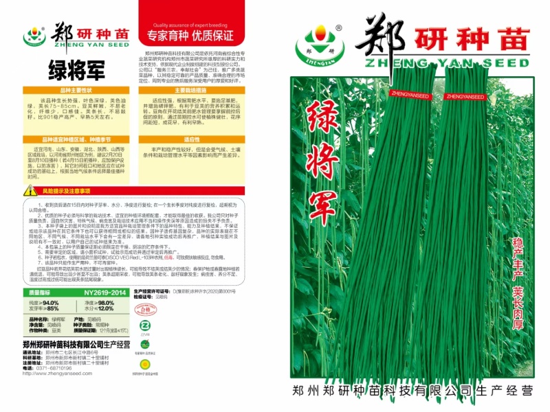 【精】郑研绿将军豆角种子，抗高温，结荚多，抗病好！