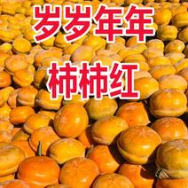 【精品货】河北磨盘柿子特级手选果可对接商超品质保证