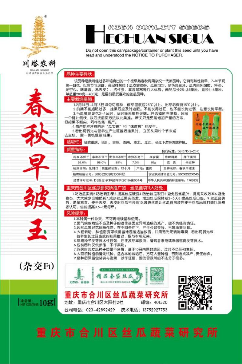丝瓜种子春秋早皱王川塔皱皮丝瓜新品种早熟瓜码密高产