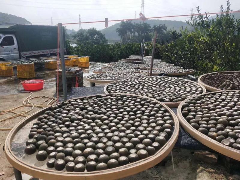 【包邮】新会小青柑熟茶宫廷柑普茶熟茶茶叶散装普洱茶浓香型