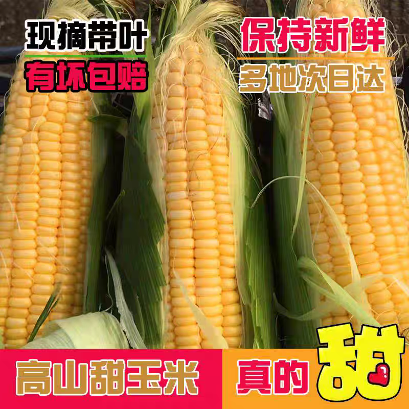 水果玉米甜玉米糯玉米产地看货论价，保质保量