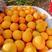 【推荐】湖北九月红脐橙，甜蜜多汁，供应市场商超电商