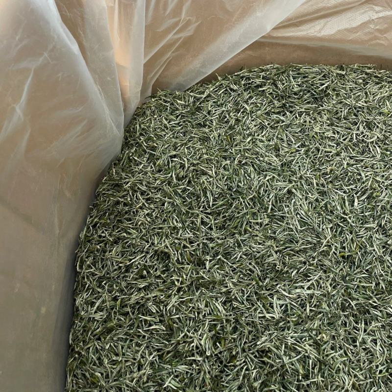 【包邮】信阳毛尖正宗纯手工毛尖绿茶特级高山云雾绿茶浓香型