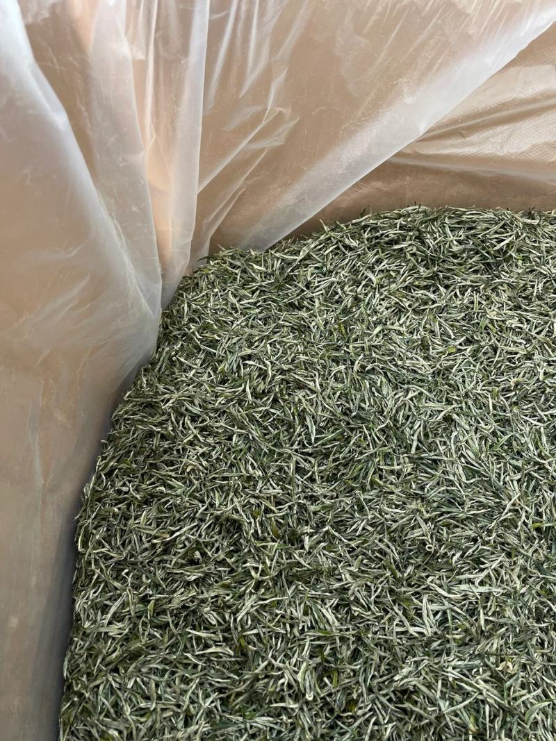 【包邮】信阳毛尖正宗纯手工毛尖绿茶特级高山云雾绿茶浓香型