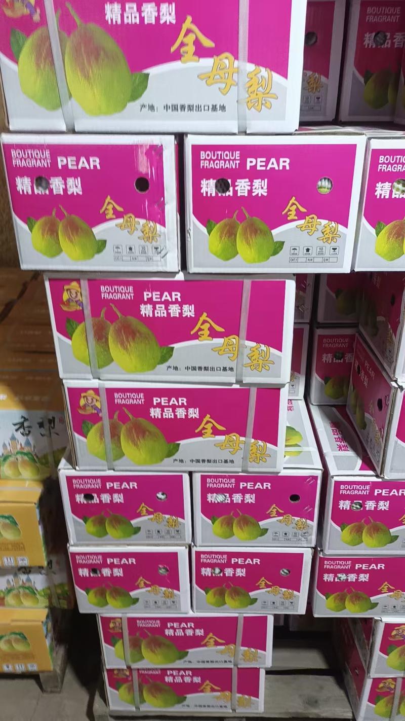 河北香梨精品香梨春节礼盒装产地直发一手货源库尔勒香梨