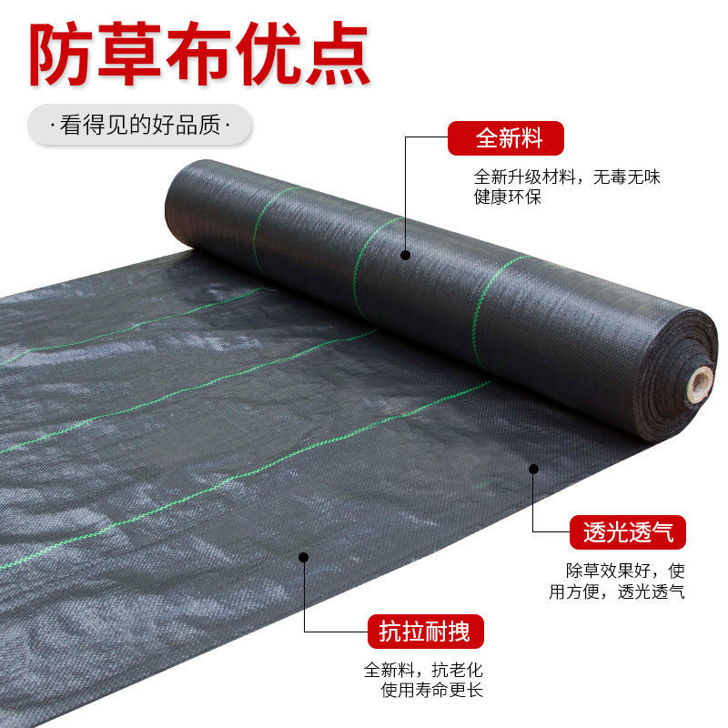 农用防草布除草布果园果树遮草盖草布抗老化透气保湿防草地布