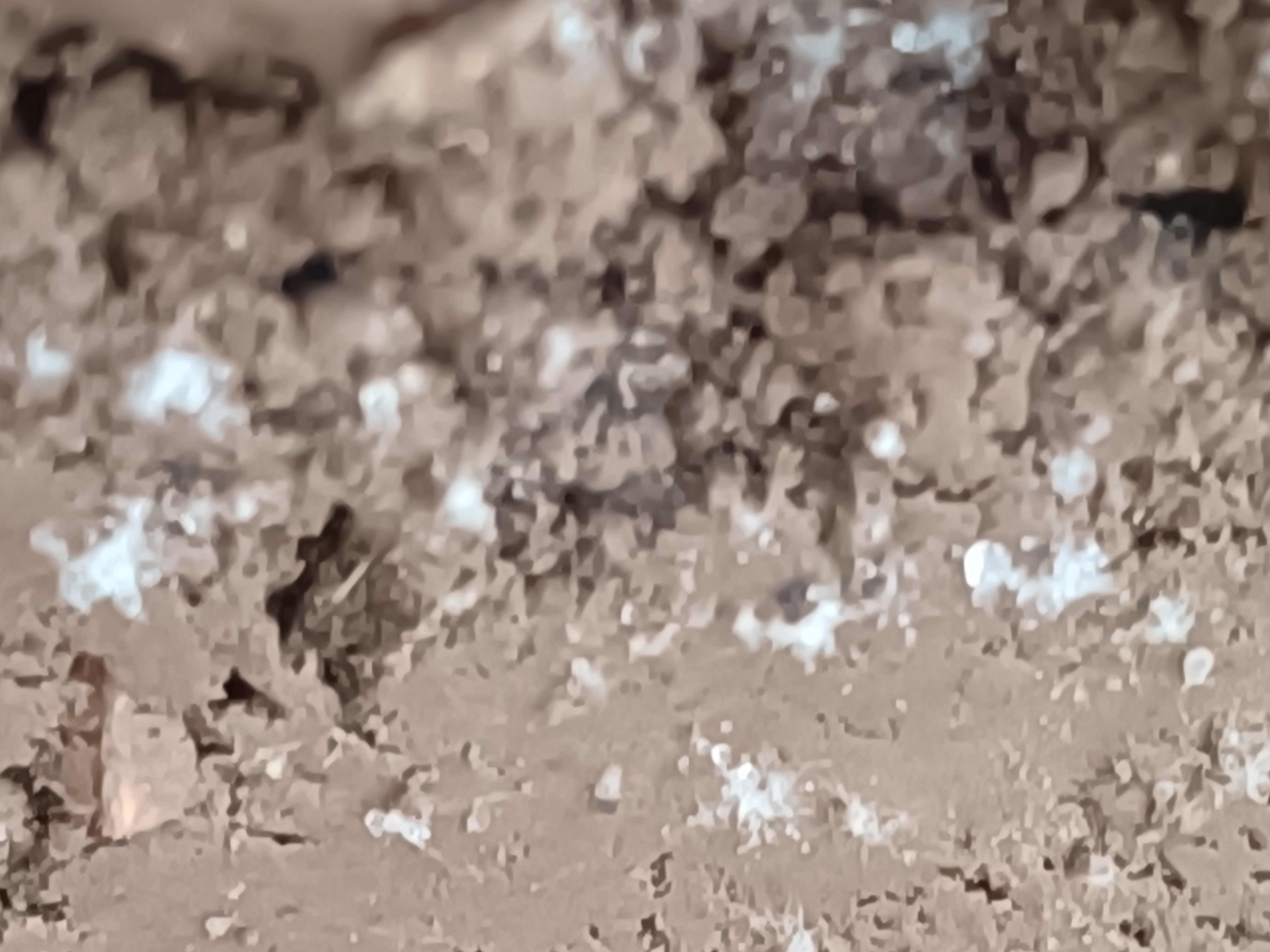 羊肚菌与鸡枞的选购图示
