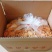 小米煎饼抖音网红零食特色小吃五斤装量大从优厂家直发