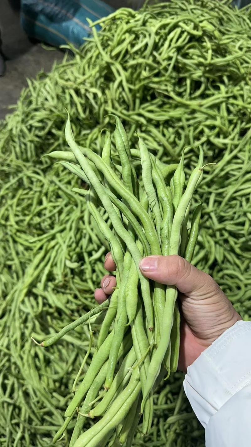 【热销推荐】绿扁豆扁芸豆货品多样货量充足价格优惠全国可供