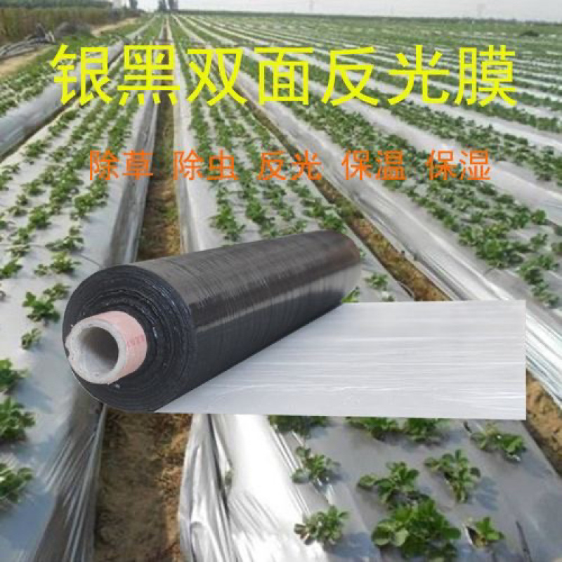 银黑地膜，反光上色，驱虫避害抑制杂草生长