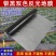 银黑地膜，反光上色，驱虫避害抑制杂草生长