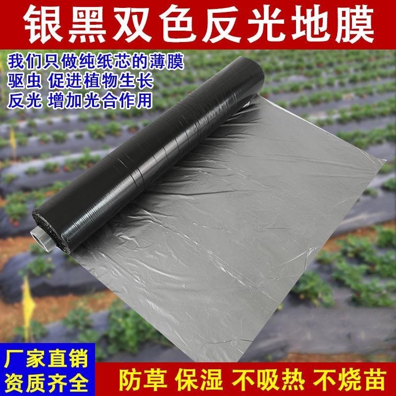 银黑地膜，反光上色，驱虫避害抑制杂草生长