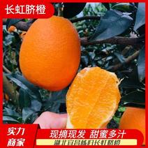 【推荐】湖北长虹脐橙，甜蜜多汁，供应市场商超电商