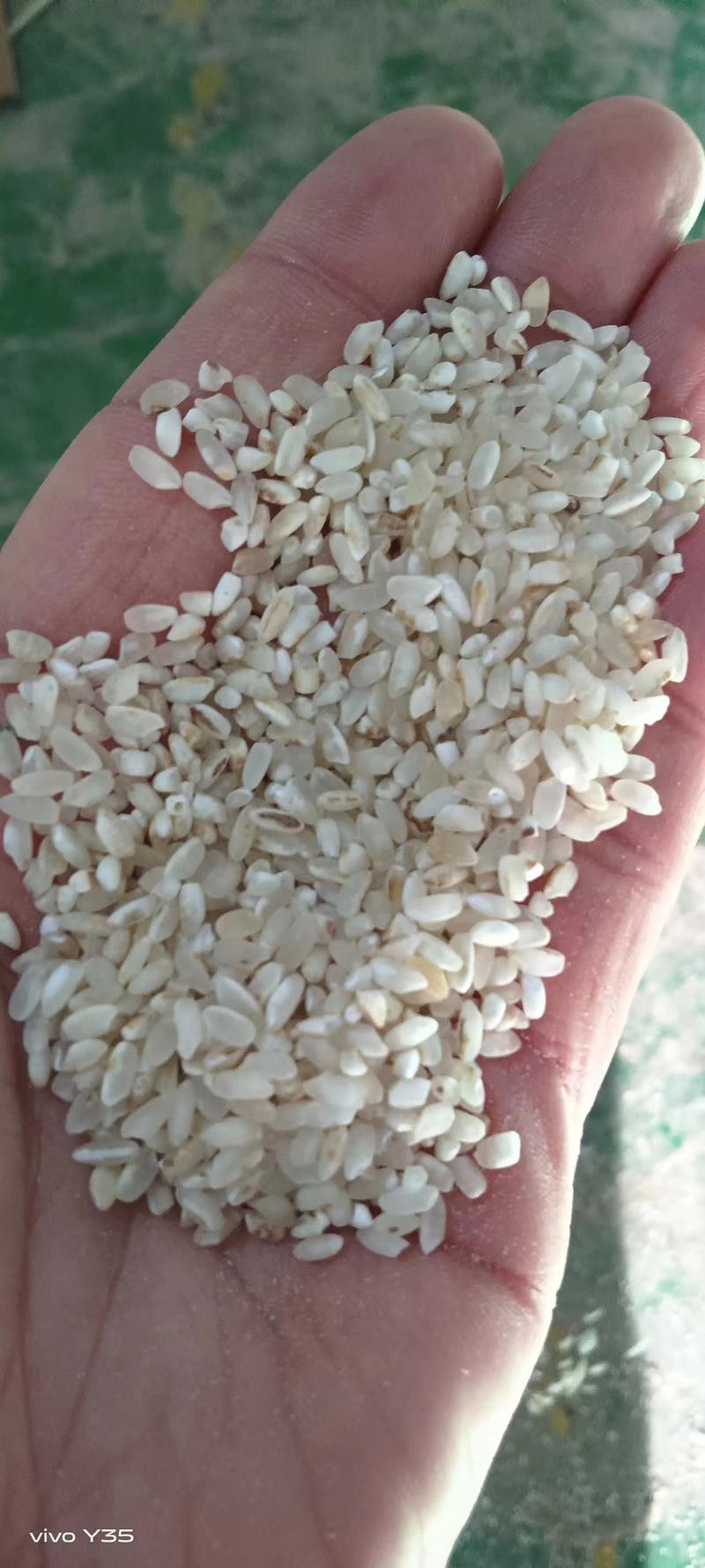 天津精品色选米大量供货，厂家发货一手货源，规格多样可选