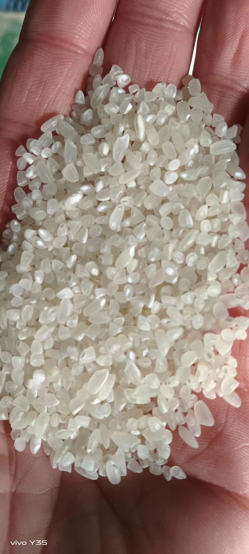 天津精品色选米大量供货，厂家发货一手货源，规格多样可选