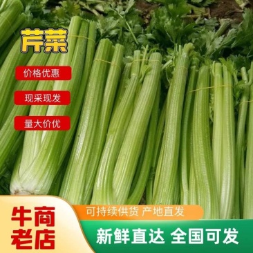 精品西芹山东芹菜产地直发电商市场商超食品厂加工