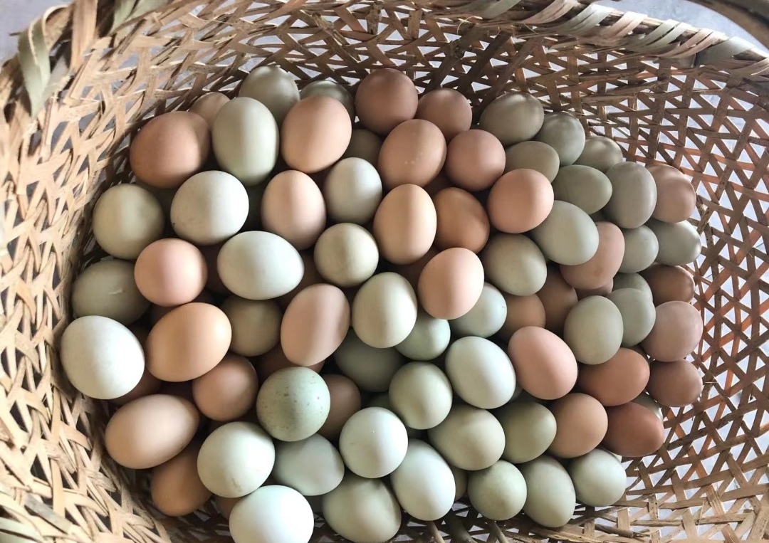 鸡蛋与健康饮食