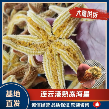 连云港工厂直营熟冻海星，海五星，满籽各种规格齐全