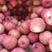 [优质]红富士苹果，条纹红富士苹果，保质保量，全国发货