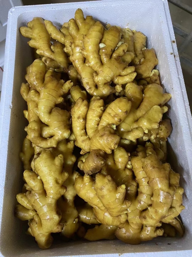 福建（风干姜/沙土姜/水洗姜）【诚信经营～坏烂包赔】