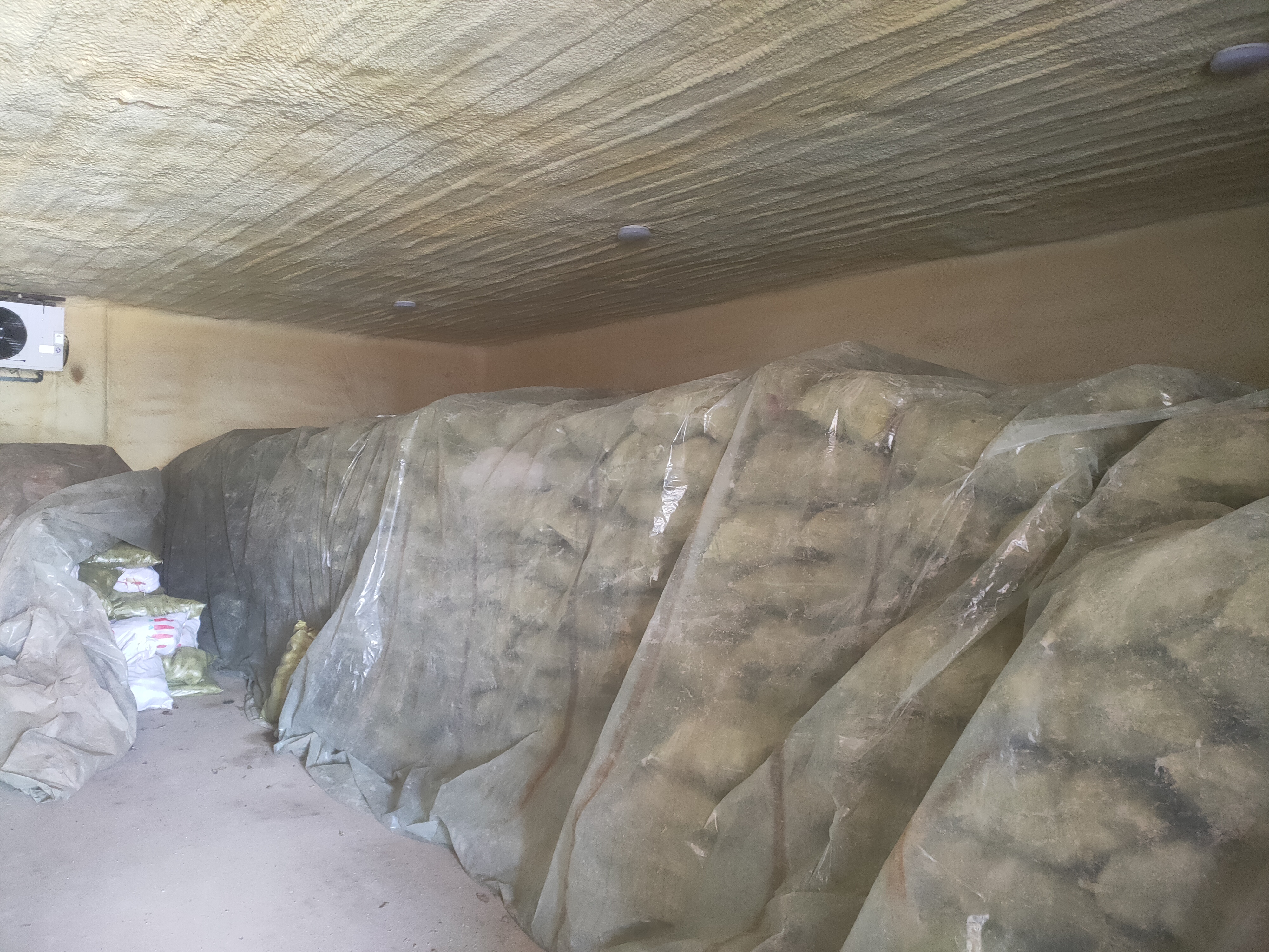 展示萝卜使用保鲜膜包裹并置于冰箱冷藏的储存方式 萝卜正确储存方式示意图