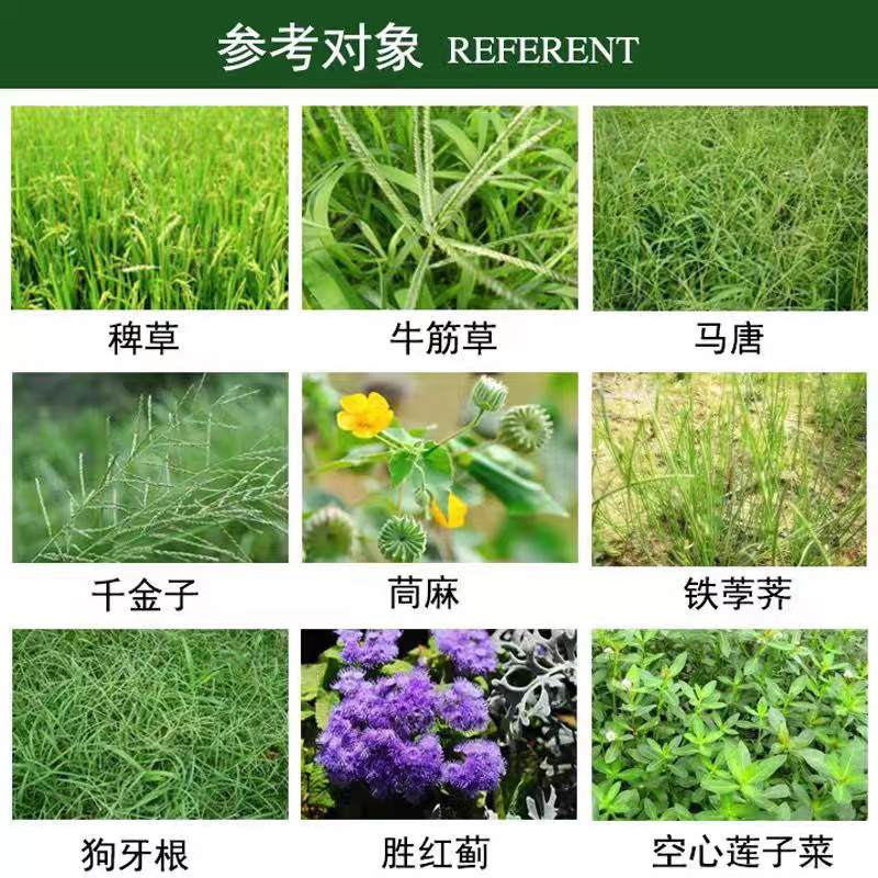 万豪霸王蔗甲灭敌草隆甘蔗除草剂农药批发