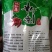 富平纯红薯粉条