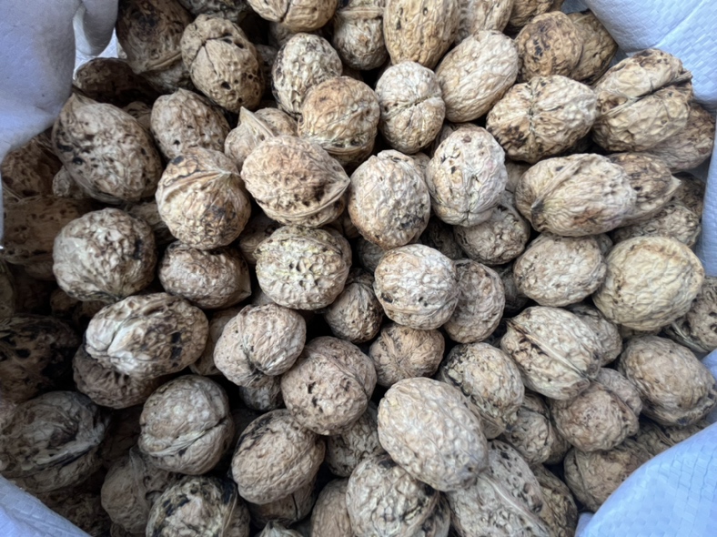 大刺核桃深加工产品展示图