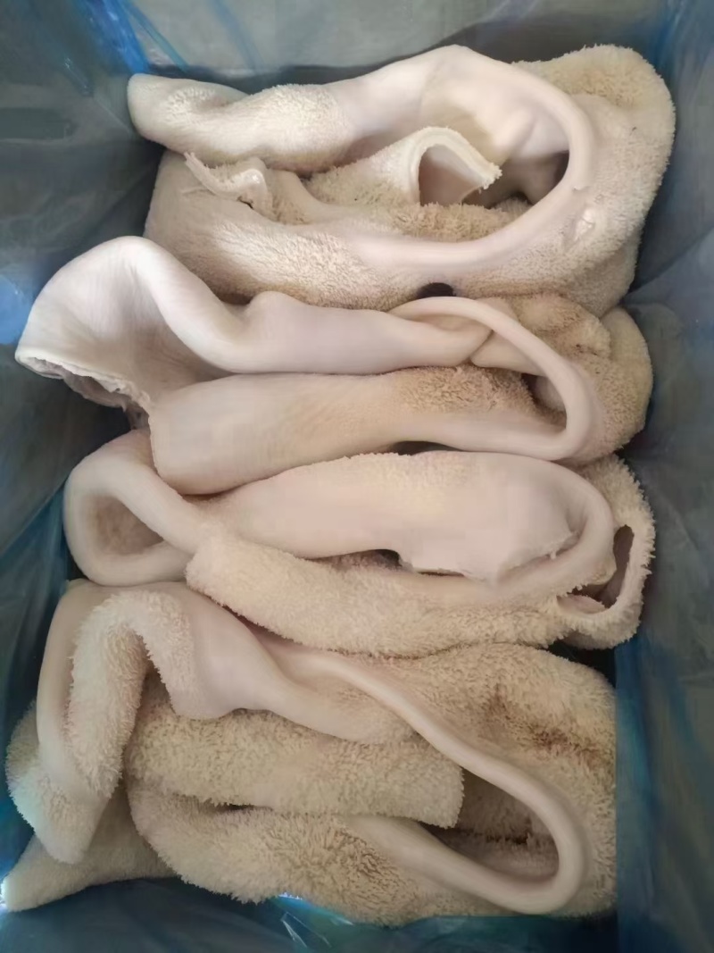 熟牛肚原味凉拌炒菜卤炖锅质量价优对接批发