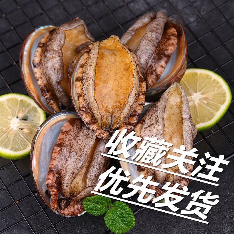 海鲜水产鲍鱼新鲜鲜活速冻大鲍鱼汁佛跳墙捞饭即食海捕包邮
