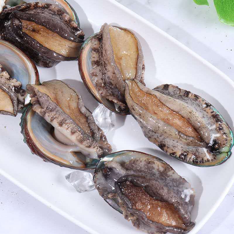 海鲜水产鲍鱼新鲜鲜活速冻大鲍鱼汁佛跳墙捞饭即食海捕包邮