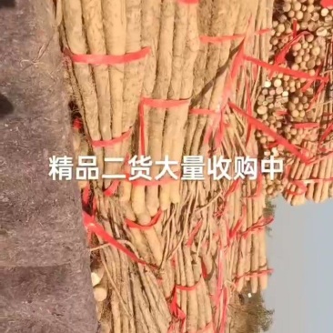 精品二货铁棍山药，有粗度，条形好