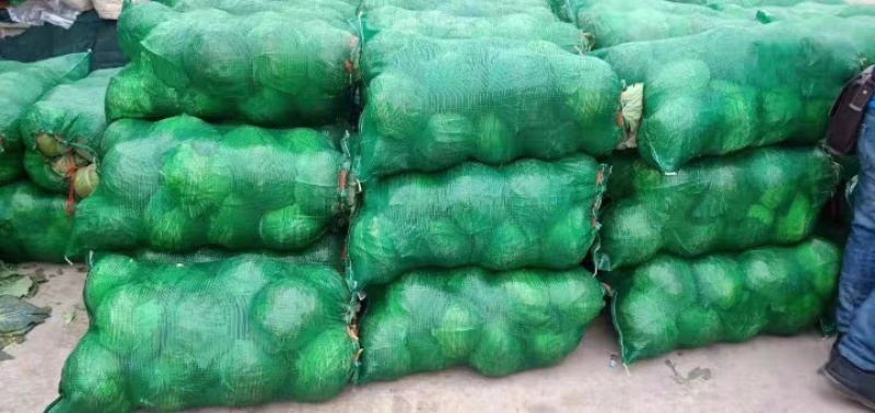 厂家批发各种颜色装玉米蔬菜水果西瓜大蒜土豆网眼袋