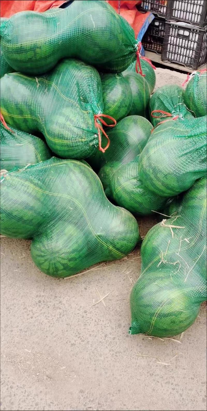 厂家批发各种颜色装玉米蔬菜水果西瓜大蒜土豆网眼袋