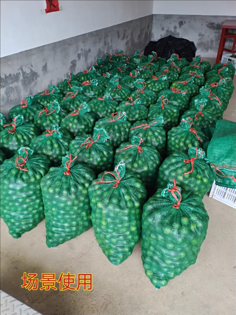 厂家批发各种颜色装玉米蔬菜水果西瓜大蒜土豆网眼袋