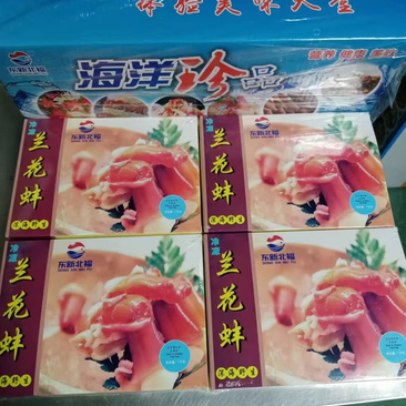 【热销】兰花蚌精品一手货源厂家直发全国发货